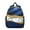 Blue Gold Marble, variant on Black White and Gold Marble Backpack Backpack for School,Cute School Bag,Schoolbag with Adjustable Shoulder Straps & Padded Back,13.8"x11.4"x6"