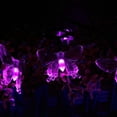 thumbnail image 6 of Huiyi Butterfly String Lights, 11m 60LED Outdoor Solar Powered String Light 8Mode Indoor for Lighting for Lawn Patio Wedding Party Deco, 6 of 8