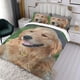 thumbnail image 3 of Golden Retriever Conjunto de sábanas temático, trío de piezas, cómodo y amigable con la piel, diseño único, regalo de decoración para el hogar para familiares, amigos y fans, 90 cm * 190 cm, 3 of 6