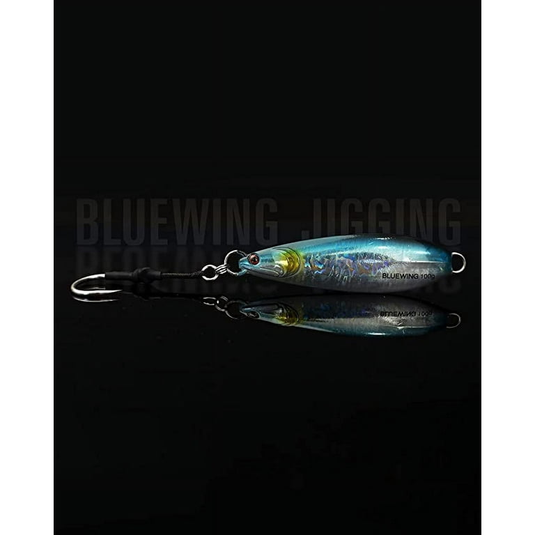BLUEWING Fishing Lures Saltwater Fishing Lures Vertical Jigs for Saltwater  Fish, Slow Fall Pitch Fishing Lures with Hook, 200g Blue