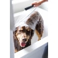 thumbnail image 3 of Pure + Good Pet Sandalwood + Coconut Shampoo & Conditioner Set for Dogs & Cats, 16 oz Bottles, 3 of 3