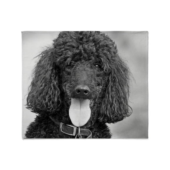 CafePress - Black Poodle Throw Blanket - Soft Fleece Throw Blanket, 50"x60" for All Ages