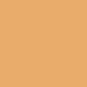 Createx Airbrush Color, Regular, 2 oz., Sand