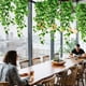 thumbnail image 3 of Apmemiss Fake Hanging Plants 2 Pcs Artificial Hanging Plants Fake Ivy Vine Faux Pothos Vines Artificial Ivy Leaves Greenery Plant for Room Patio Home Indoor Outdoor Shelf Wall Garden Decor(No Baskets), 3 of 9