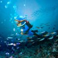 thumbnail image 2 of Resin Aquarium Mini Floating Diver Fine Craftsmanship Exquisite Details Fish Tank Layout Prop Underwater World Ornaments, 2 of 8