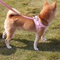 thumbnail image 3 of Dog Harness No-Pull Reflective Dogs Vest Chest Strap  Breathable Adjustable Pet Harnesses for Pet Puppy Outdoor Walking, 3 of 5