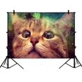 thumbnail image 1 of ABPHQTO 150x210 cm Star Galaxy Espacio exterior Cool Cat Poliéster Fotografía Telón de fondo Estudio Photo Props Fondo ABPHQTO PhotoProps-SL-24, 1 of 1