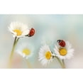 thumbnail image 3 of Van Deelen, Ellen 14x11 Black Modern Framed Museum Art Print Titled - Springtime...., 3 of 5