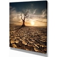 thumbnail image 2 of Arbre Mort Solitaire dans une Terre Craquelée - Grande Toile d'Art Paysager, 2 of 4