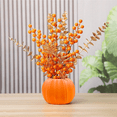 thumbnail image 4 of Pumpkin Vase Flower Vase White Planter For Fall Thanksgiving Halloween Home Decor Dried Flower Arrangement, 4 of 5