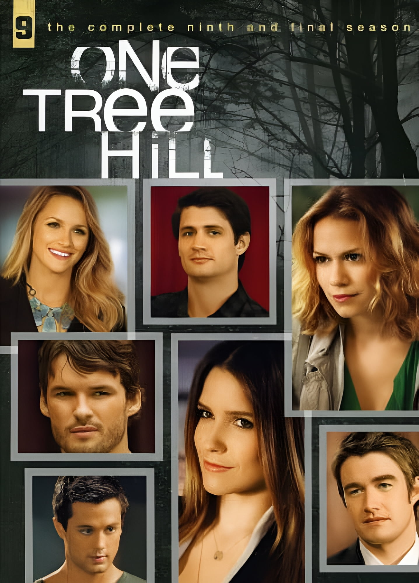 (未使用･未開封品)　One Tree Hill: Complete Seventh Season [DVD] [Import] og8985z One Tree Hill: The Complete Seventh Season DVD - Series Box