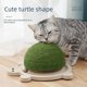 thumbnail image 5 of Tabla rascadora para gatos con forma de tortuga, resistente al desgaste y a los arañazos, de sisal, con garras para moler, que no suelta restos para aliviar el aburrimiento de los gatos, divertido, 5 of 5