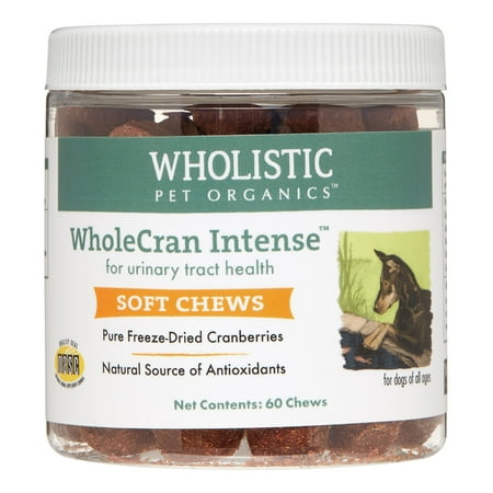 Wholistic Pet Organics WholeCran Intense Urinary Tract Dog Supplement, 60 (Best Dog Food For Urinary Tract Health)