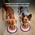 thumbnail image 6 of Iconic Pet Color Splash Stripe Non-Skid Pet Bowl, 24 Oz, Pink, 6 of 8
