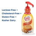 Nestle Coffee Mate Coffee Creamer, Hazelnut, Concentrated Liquid Pump