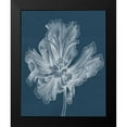thumbnail image 2 of Goldberger, Jennifer 12x14 Black Modern Framed Museum Art Print Titled - Monochrome Tulip II, 2 of 5