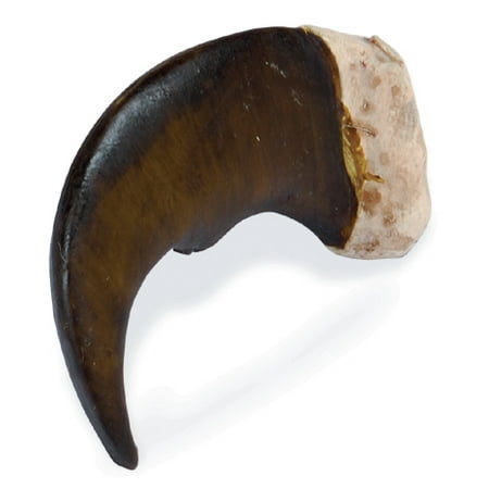 - Resin Bear Claw, 2