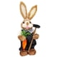 thumbnail image 1 of Muñeco de conejito de paja de Pascua de 35 cm de pie, figura decorativa realista hecha a mano para Estilo D, 1 of 9