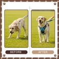 thumbnail image 4 of Nallwabiu No Pull Dog Harness Adjustable Vest with a Training Handle, Pocket, Easy to Put on & Take Off, With dog leash, 4 of 7