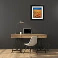 thumbnail image 3 of Talbot Frank, Christopher 26x30 Black Ornate Wood Framed with Double Matting Museum Art Print Titled - CA, Antelope Valley covered in California Poppies, 3 of 4