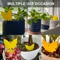 thumbnail image 3 of 10PCS Sticky Traps Fruit Fly Fungus Gnat Trap Insect Indoor Outdoor Houseplant Sticky Bug Insect Catcher Glue Trappers, 3 of 6