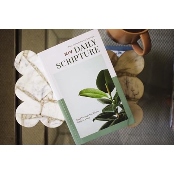 Pre-Owned Niv, Daily Scripture, Paperback, White/Sage, Comfort Print: 365 Days to Read Through the Whole Bible in a Year (Paperback) 0310462207 9780310462200