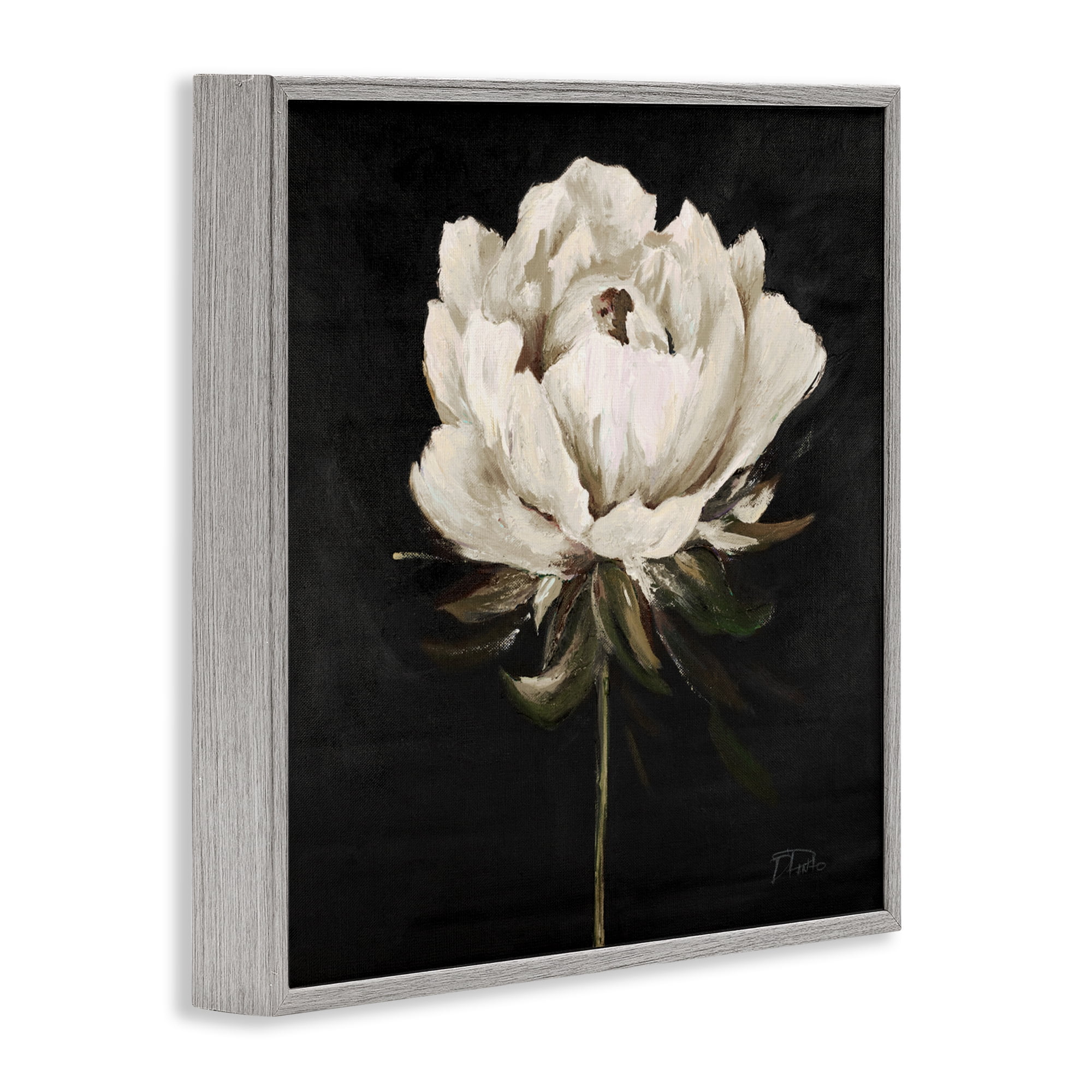 Stupell Industries Pretty Delicate Bloom on Black Gray Framed Giclee Art, design by Patricia Pinto