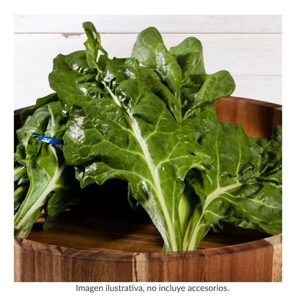 Acelga Frutas y Verduras Frescas por Pieza