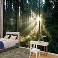 thumbnail image 2 of Peel and Stick Wallpaper Waterproof Sunbeams breaking Spruce Tree Forest Sunrise Wall Mural Decor Self Adhesive and Removable 100in x 144in, 2 of 8