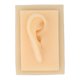 thumbnail image 3 of Modelo De Oreja Humana, Textura Brillante, Cómoda, Suave, Duradera, Oreja De Silicona Portátil Para Demostración De Enseñanza, 3 of 8