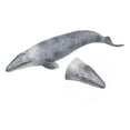 thumbnail image 3 of Simulated Grey Whales Figurine Collection Sea World Fake Fish Educational Model Toys, 3 of 14