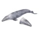 thumbnail image 3 of Animales Oceánicos, Criata Marina Realista de Juguete Cognitivo Figuras de animales de Mar Modelado de Ballenas Grises Vida Marina para Niños Para Juguetes Educativos de De, 3 of 7