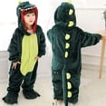 thumbnail image 1 of Pijamas de franela para niños y niñas, pijamas de dinosaurio verde, ropa de dormir, disfraz de animal para cosplay, fiesta de Halloween, atuendos divertidos, 1 of 3
