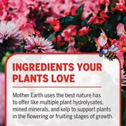 FLORESSENCE SUPPLMNT 1QT (Pack of 1)