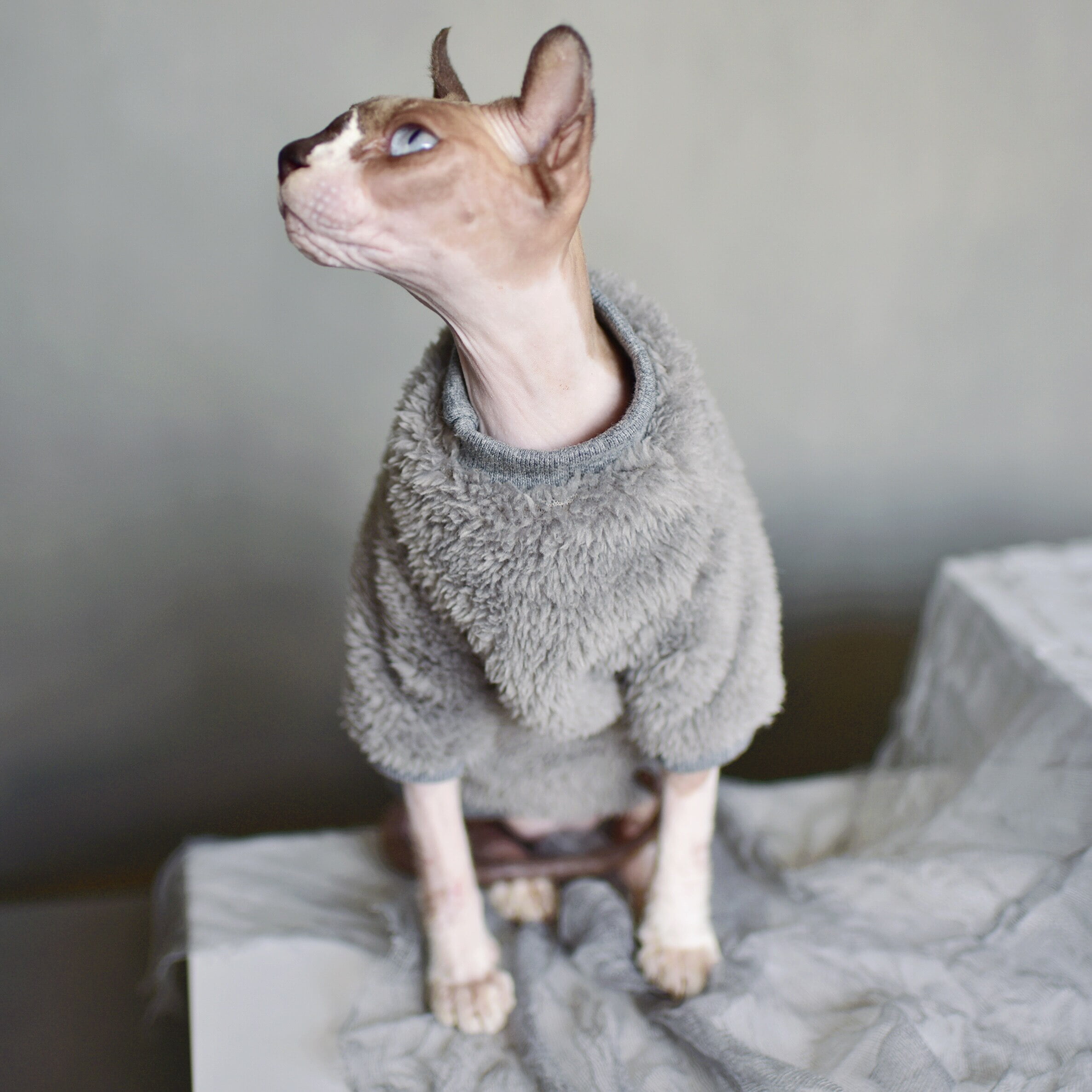 Sphynx cat clothes Sweater for cat.Jumpsuit for cat .Hairless cat.Soft and warm cloth for any breed of cat Handmade