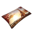 thumbnail image 3 of Bixox Eiffel Tower Printed Pillow Protector,Super Soft Ideal for Home,Guests,Rentals - 20"x30", 3 of 8