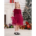 thumbnail image 5 of IBTOM CASTLE Toddler Baby Girls Velvet Tutu Dress Bowknot Ruffle Tulle Princess Christmas Birthday Party Dress Fall Winter Clothes 2-3 Years Red, 5 of 8