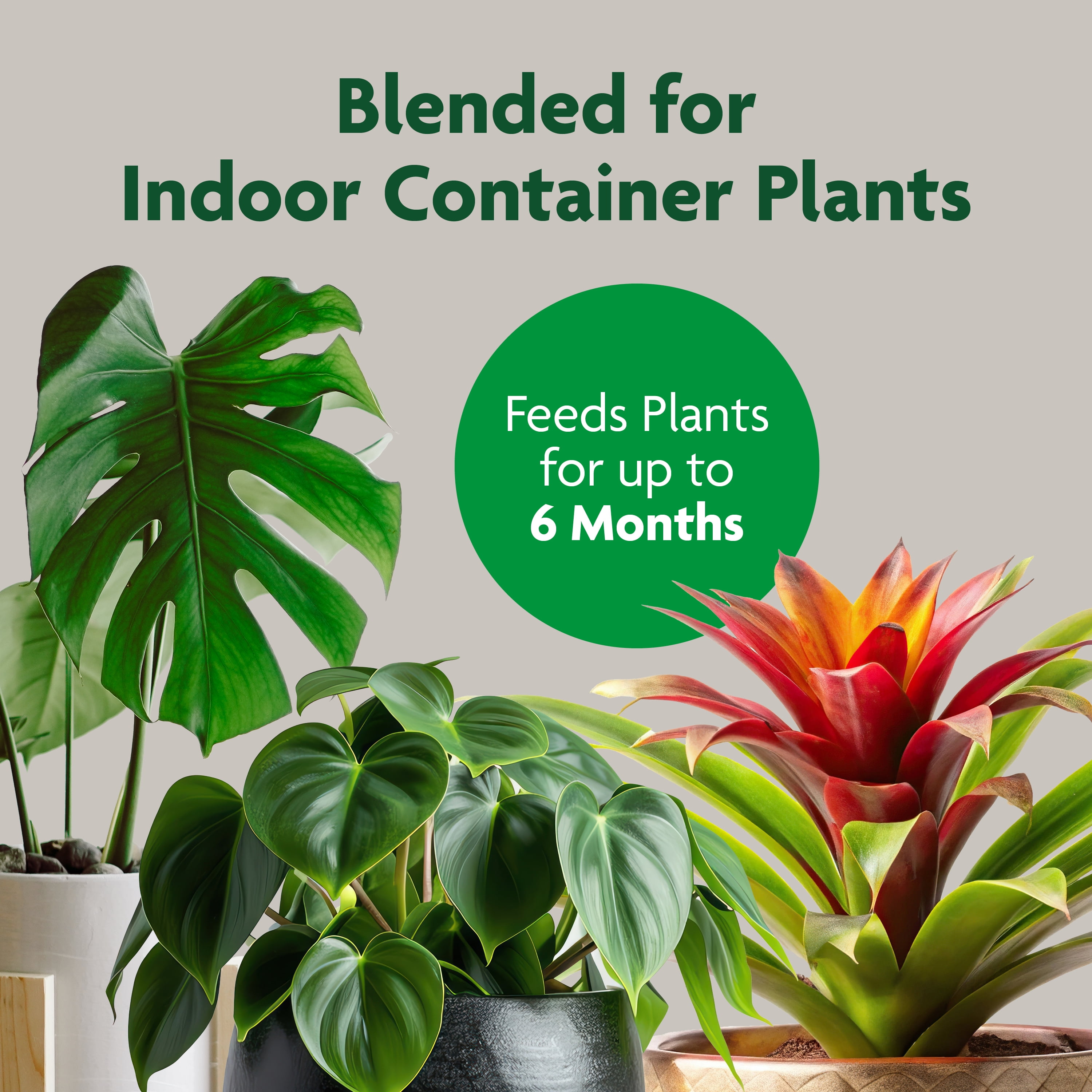 Miracle-Gro Indoor Potting Mix, Blended for a Variety of Houseplants, 6 qt., 2-Pack