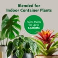 thumbnail image 4 of (2 pack) Miracle-Gro Indoor Potting Mix, Blended for a Variety of Houseplants, 16 qt., 4 of 12
