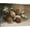Pine Cones, variant on Vintage Winter Pine Cones Pinecones Wall Art Decor, Rustic Christmas Canvas Wall Art Print for Farmhouse Bedroom Living Room, Aesthetic Winter Wall Artwork Picture