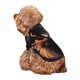 thumbnail image 5 of Fotbe Colorful Flower German Shepherd Sudadera con Estampado para Perros Pequeños – Suéter con Capucha para Mascotas, Tela Suave de Forro Polar con Bolsillo-Medium, 5 of 7