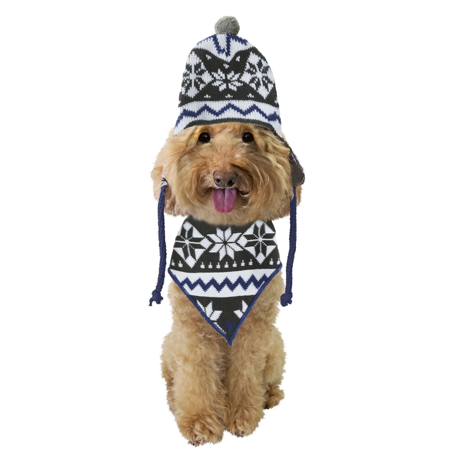 puppy stuff at walmart