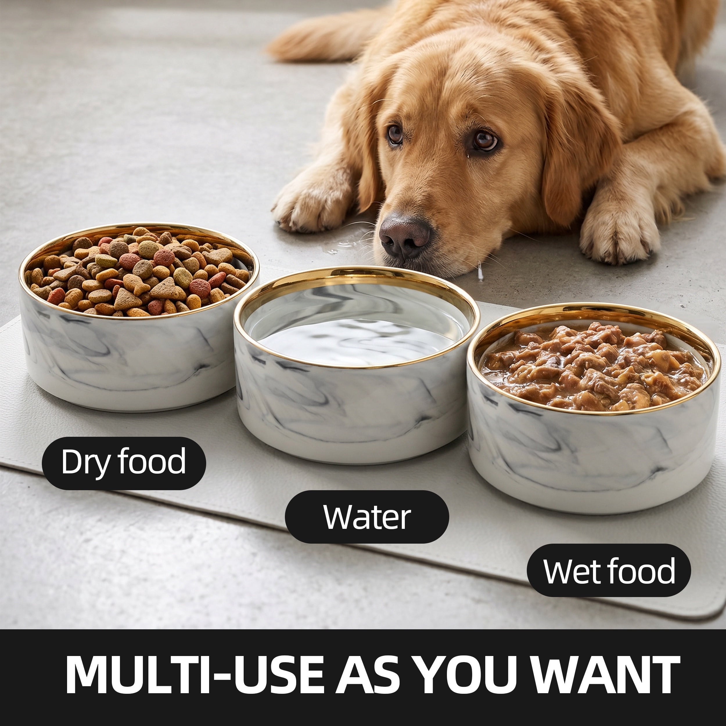 Max & Marlow Ceramic Dog Bowls Set of 2 with Gold Rim, Non-Slip Pet Food & Water Bowls for Small to Medium Dogs, 400ML & 850ML Capacity