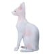 thumbnail image 4 of Modelo de gato sin pelo de simulación, modelo de gato sin pelo de simulación, modelo de gato sin pelo, modelo de gato decorativo, durabilidad probada en el tiempo, 4 of 14