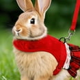 thumbnail image 4 of Fairnull Rabbit Harness Leash Pet Leash Adjustable Chest Strap Pet Harness Bunny Vest Vest, 4 of 8