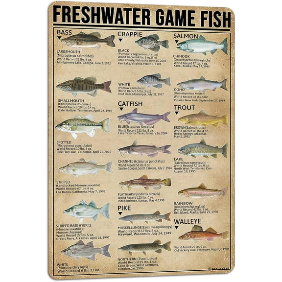 Fishing Decor Country Room Decor Mens Room Wall Decor Freshwater Game Fish Poster Singing Fish Wall Plaque Lake Cabin Decor Metal Sign 8x12 Inch