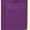 Purple, variant on 20" x 20" x 5" Patch Handle Bags (50 Bags/Pk)