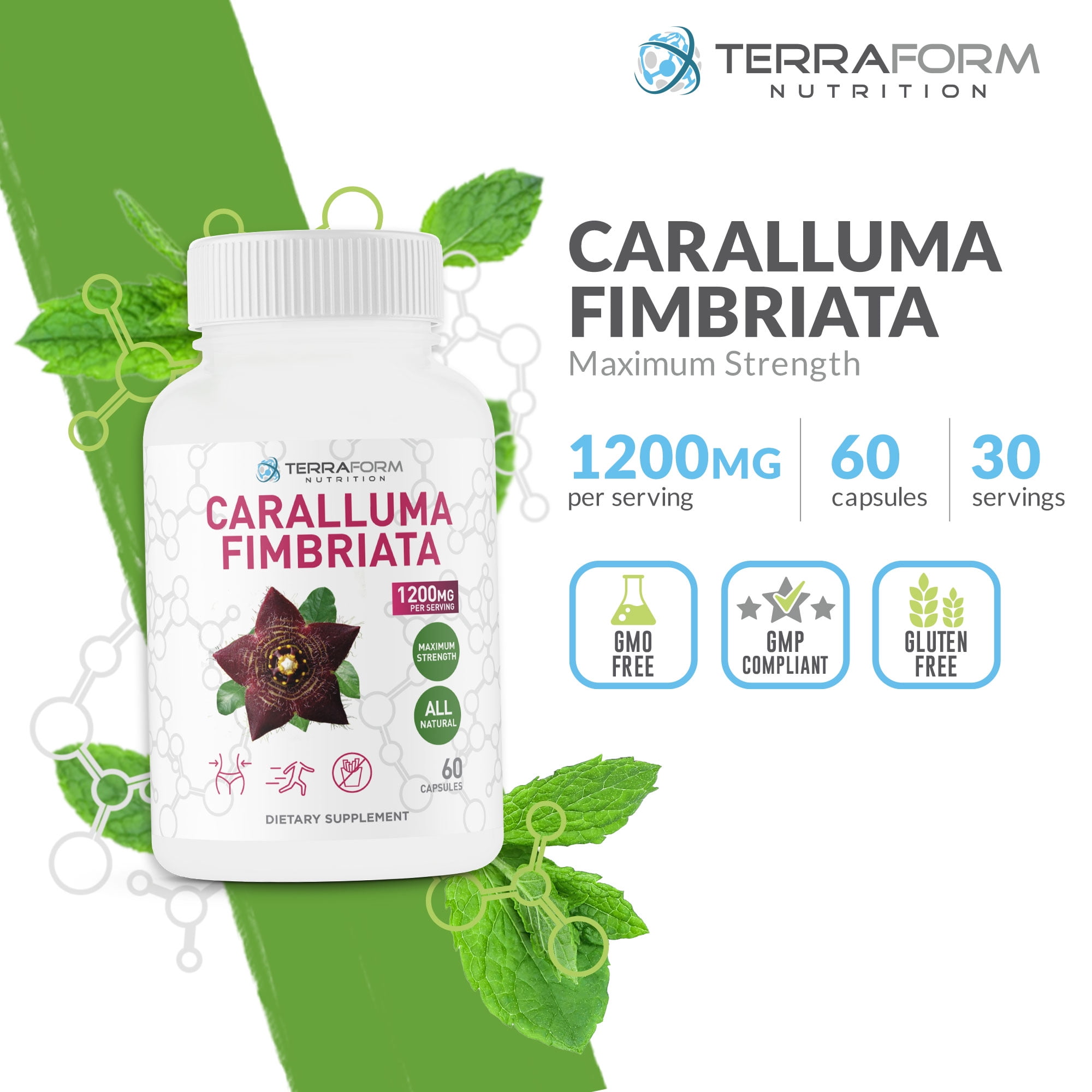 Caralluma Fimbriata - 100% Pure - Max Strength Weight Loss Supplement - 1200mg Serving – 3 Pack - Natural Appetite Suppressant for Women & Men - Metabolism Booster - Made in USA - 3 Month Supply