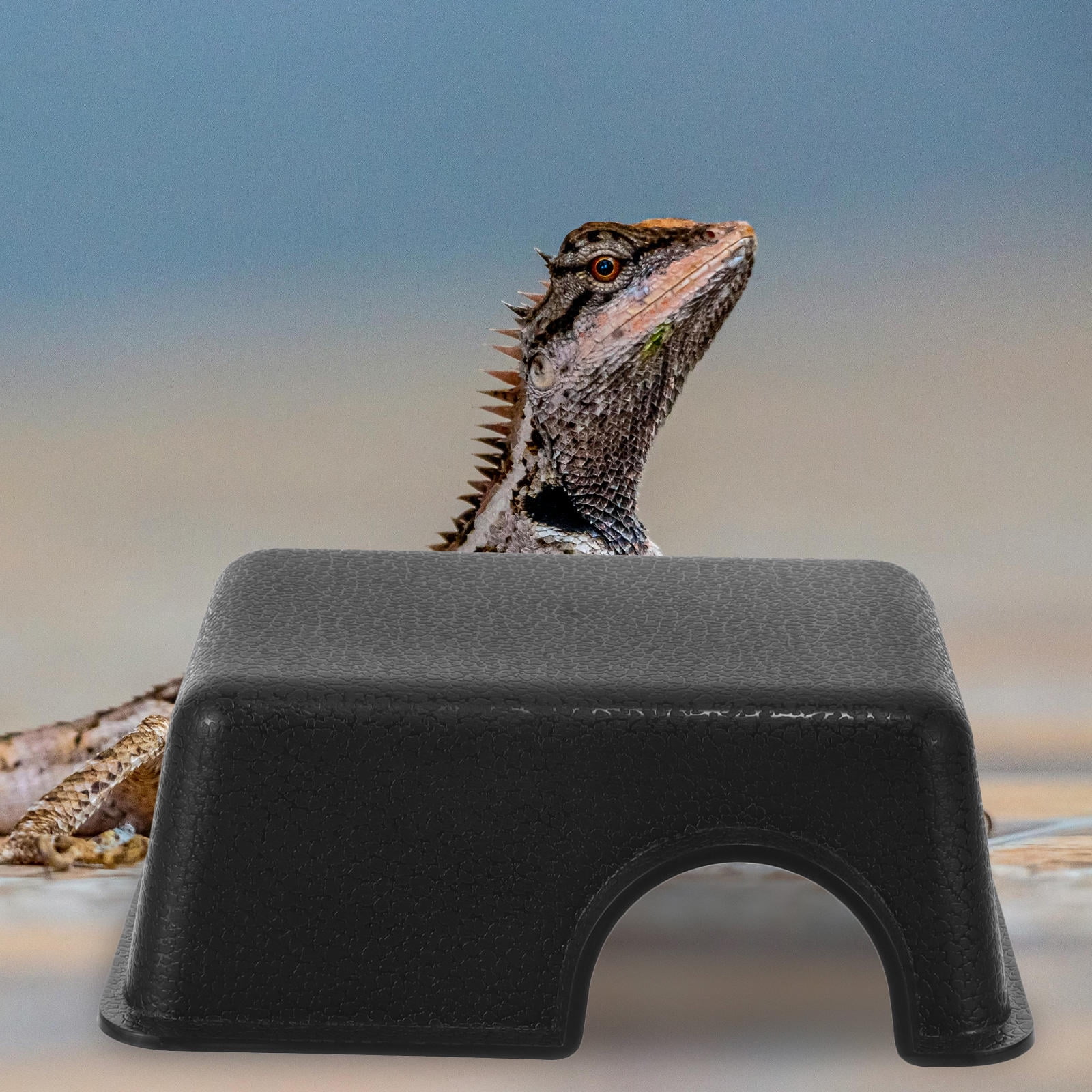 Yardwe Black Plastic Reptile Shelter Hideout for Turtles, Geckos, Small Lizards - Fish Accessory