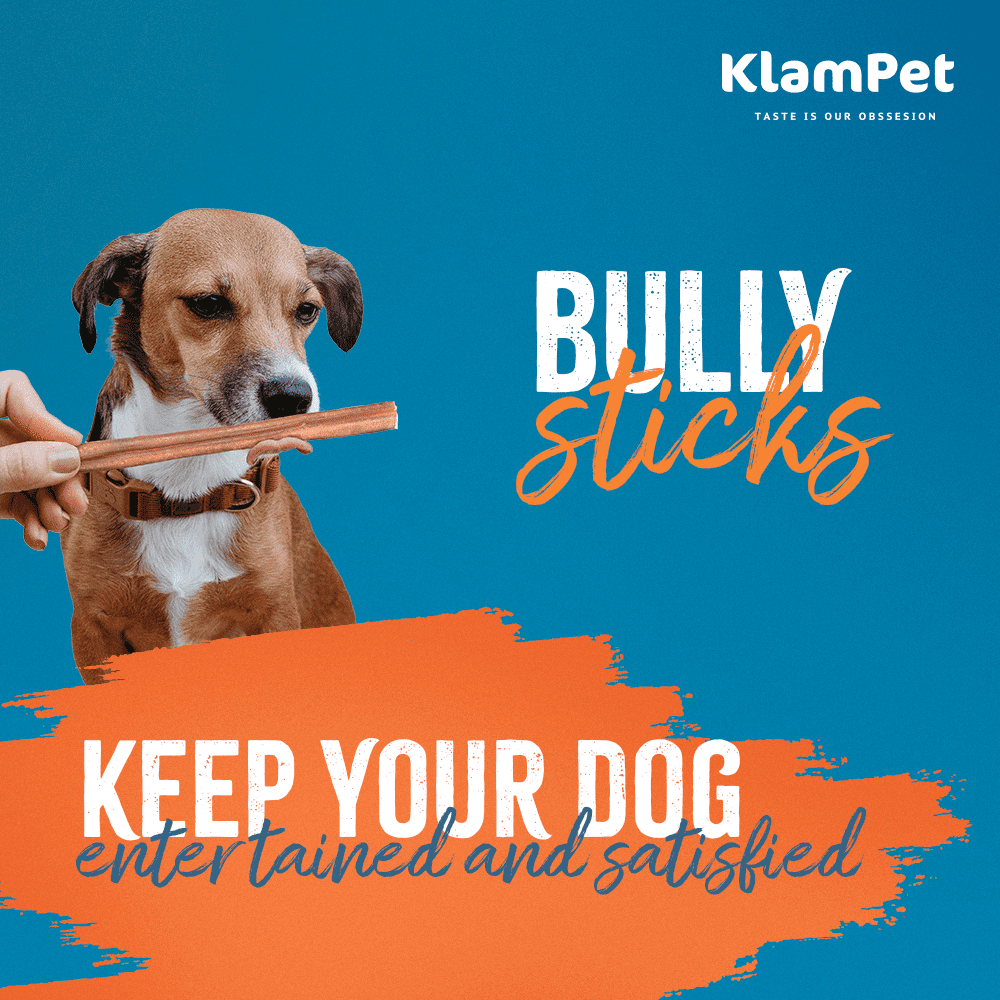 Klampet Naturals 6-Inch Bully Sticks for Dogs [15-Pack] – 100% Grass-Fed, Free-Range Beef Chews – Premium Single-Ingredient & Low-Odor – Long-Lasting Rawhide Alternative for Dental Health
